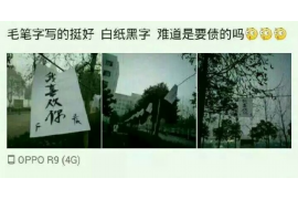 尼勒克为什么选择专业追讨公司来处理您的债务纠纷？